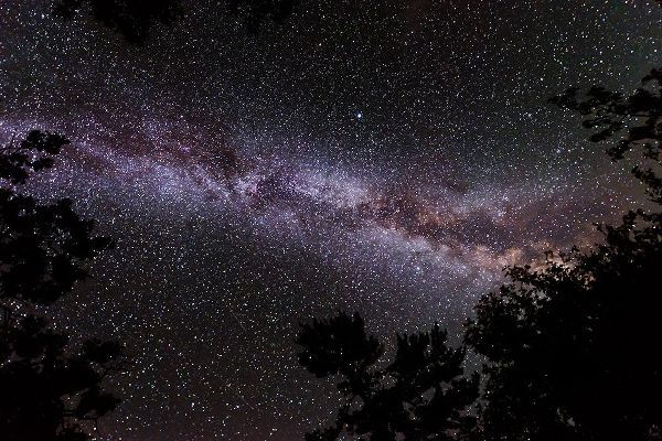Canada-Ontario-Sioux Narrows Provincial Park-Night sky with Milky Way